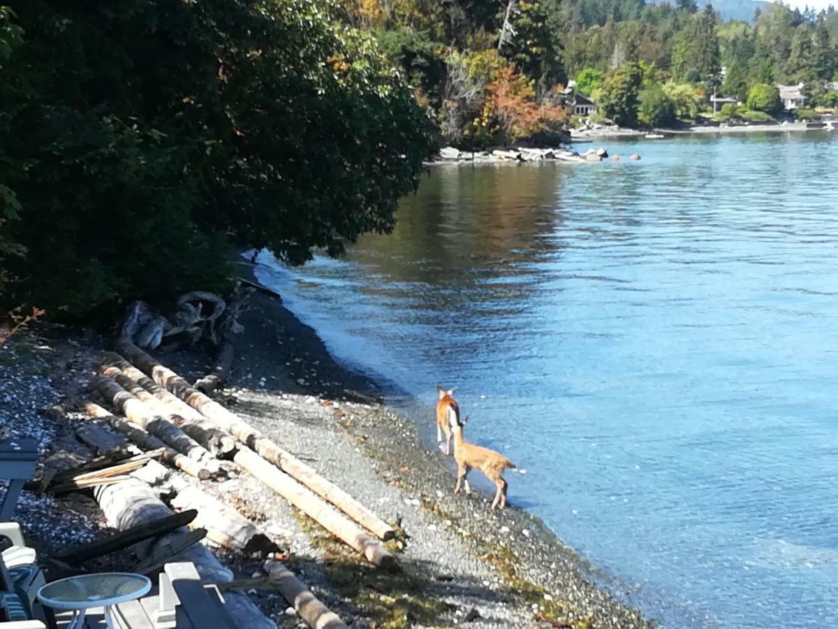 Vancouver Island Castle Cove Inn Chemainus Exteriör bild